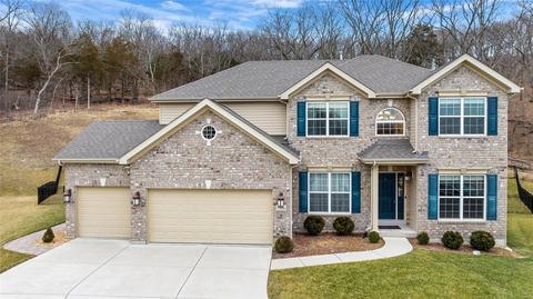 17650 Trailmark Ct, Eureka, MO 63025 photo 3