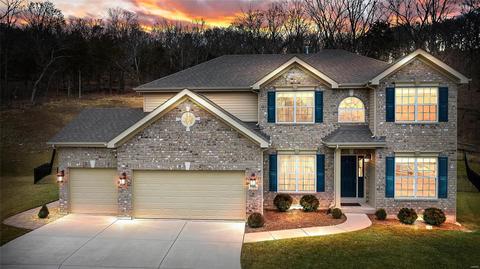 17650 Trailmark Ct, Eureka, MO 63025 photo 1