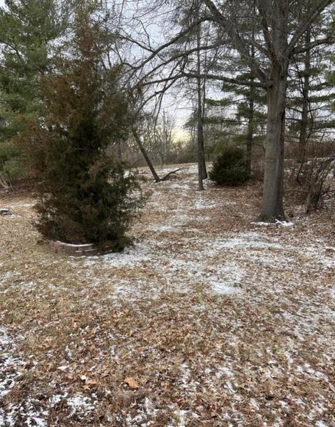 279 Village Meadow Dr, Ballwin, MO 63021 photo 5