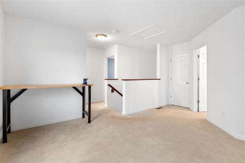407 Spring Trce, O'fallon, MO 63368 photo 19