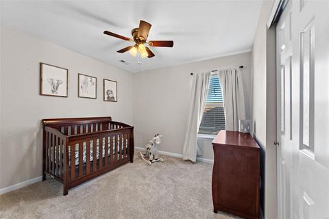 1402 Tisbury Cir, O'fallon, MO 63366 photo 21