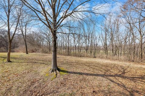 50 Dunmore Cir, O'fallon, MO 63368 photo 27