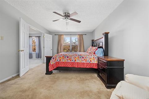 8 Cornwallis Ct, O'fallon, MO 63368 photo 27