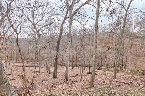 16029 Forest Valley Dr, Ballwin, MO 63021 photo 53