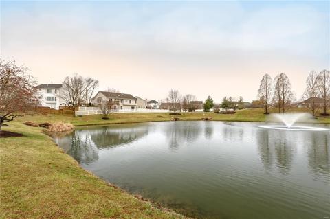 22 Dunleith Ct, O'fallon, MO 63366 photo 22
