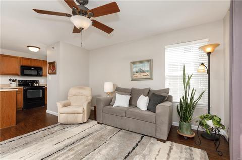 9203 Spring Creek Ln, O'fallon, MO 63368 photo 5