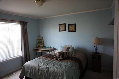 1431 Soaring Eagle Dr, O'fallon, MO 63366 photo 9