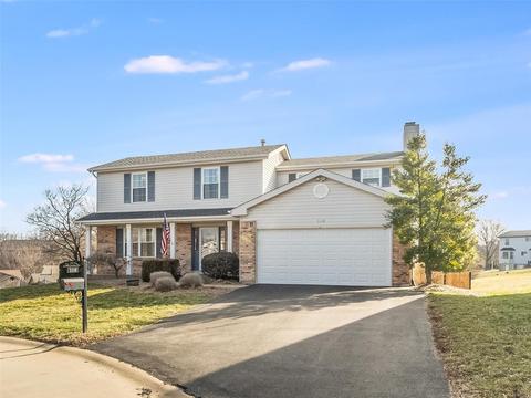 110 Misty Heath Ct, Ellisville, MO 63021 photo 1