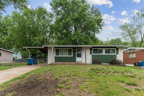 10320 Tanner Dr, Saint Louis, MO 63136