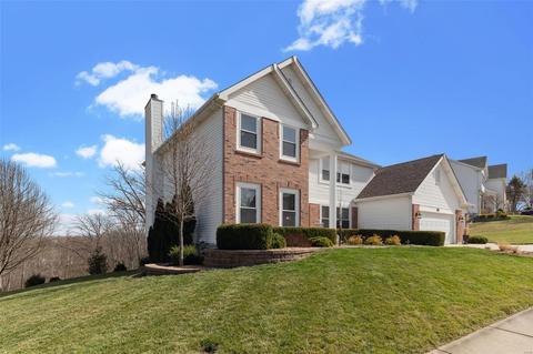 1036 Stone Spring Ct, Eureka, MO 63025 photo 2