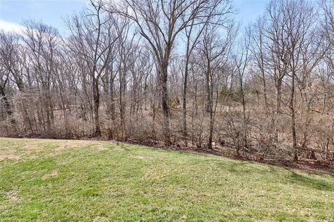 224 Fox Haven Ct, O'fallon, MO 63368 photo 72