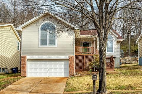 465 Elm Crossing Ct, Ballwin, MO 63021 photo 1