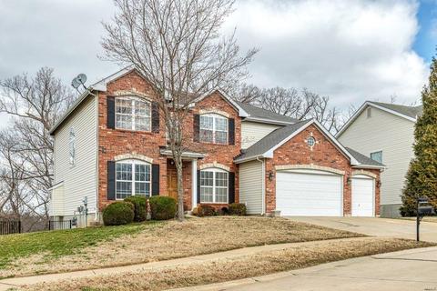 713 Rose Haven Ct, Ballwin, MO 63021 photo 2