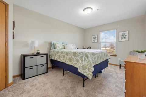 678 Homerun Dr, O'fallon, MO 63366 photo 21