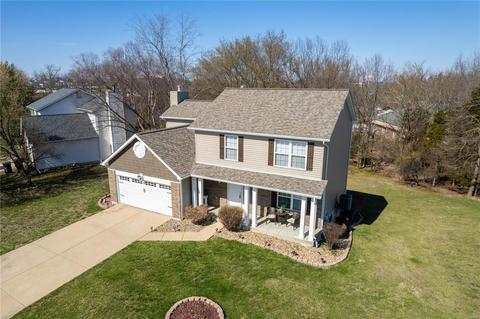 1315 Bryan Valley Dr, O'fallon, MO 63366 photo 28