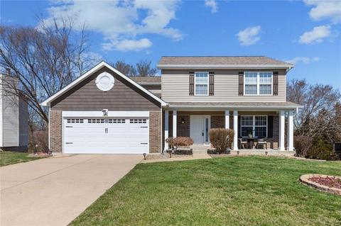 1315 Bryan Valley Dr, O'fallon, MO 63366 photo 1