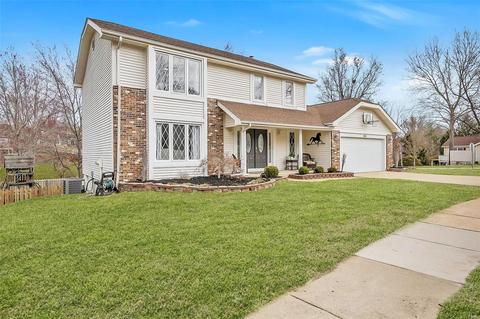 16501 Winter Leaf Dr, Wildwood, MO 63011 photo 41
