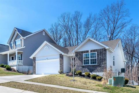 155 Brookview Way Dr, O'fallon, MO 63366 photo 43