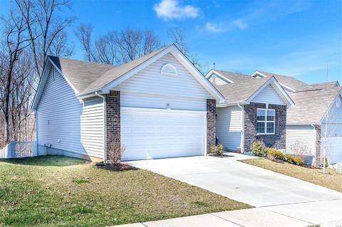 155 Brookview Way Dr, O'fallon, MO 63366 photo 42