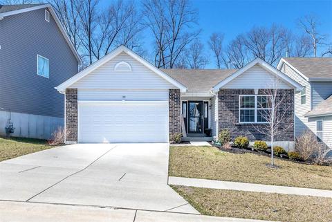 155 Brookview Way Dr, O'fallon, MO 63366 photo 44