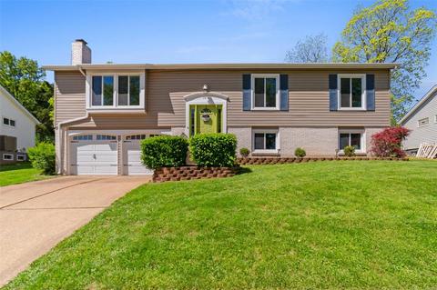 1417 Mont Dore Dr, Manchester, MO 63021 photo 2