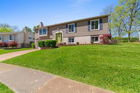 1417 Mont Dore Dr, Manchester, MO 63021 photo 34