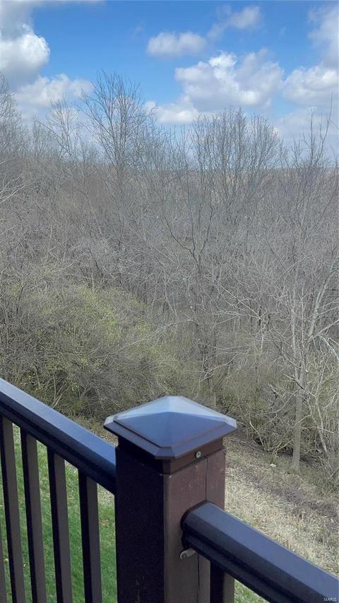 1850 Ridgeview Circle Dr, Ballwin, MO 63021 photo 9