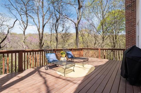 2121 Mint Spring Ln, Wildwood, MO 63038 photo 42