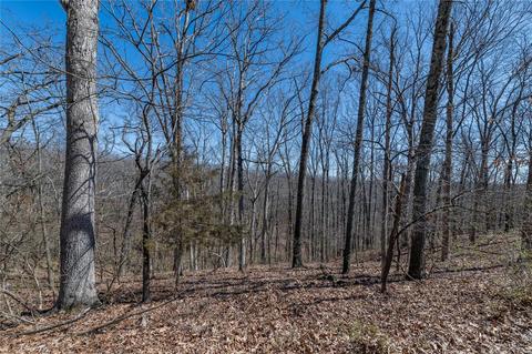 3210 Johns Cabin Rd, Glencoe, MO 63038