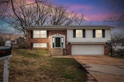 309 Wembley Ln, Manchester, MO 63021 photo 1