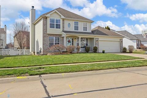 219 Chestnut Hill Dr, O'fallon, MO 63368 photo 5