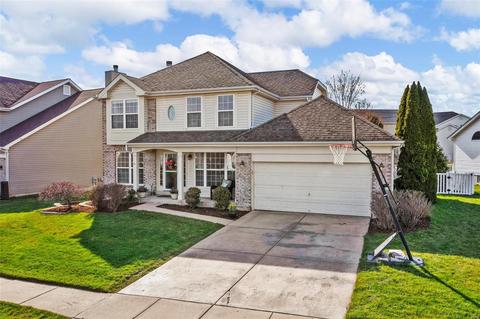 219 Chestnut Hill Dr, O'fallon, MO 63368 photo 50