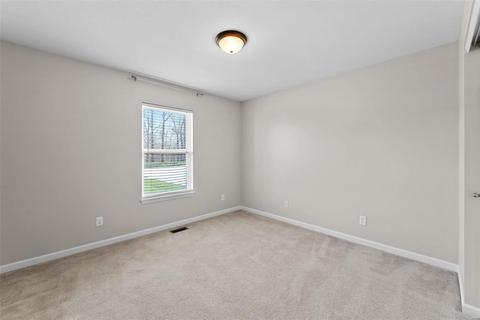 1123 Patsy Ln, O'fallon, MO 63366 photo 20