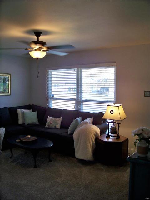 11033 Patsy Dr, Saint Louis, MO 63123 photo 5
