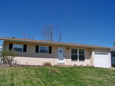 11033 Patsy Dr, Saint Louis, MO 63123 photo 1