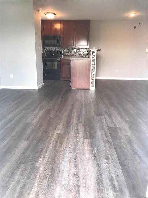 4201 Spring River Dr, O'fallon, MO 63368 photo 9
