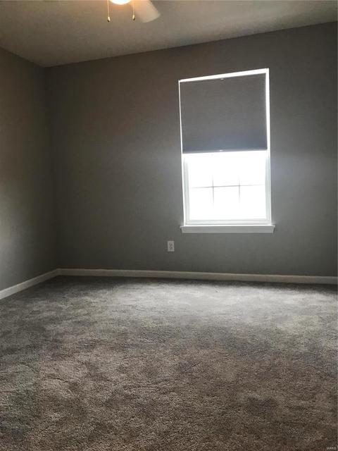 4201 Spring River Dr, O'fallon, MO 63368 photo 17