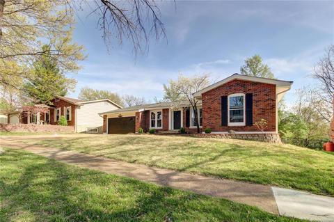 1154 Great Falls Ct, Manchester, MO 63021 photo 3