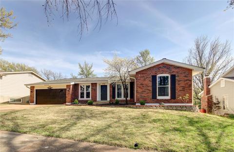 1154 Great Falls Ct, Manchester, MO 63021 photo 2