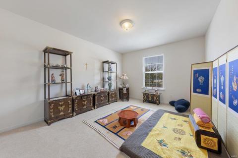 322 Ruth Ann Dr, O'fallon, MO 63368 photo 22