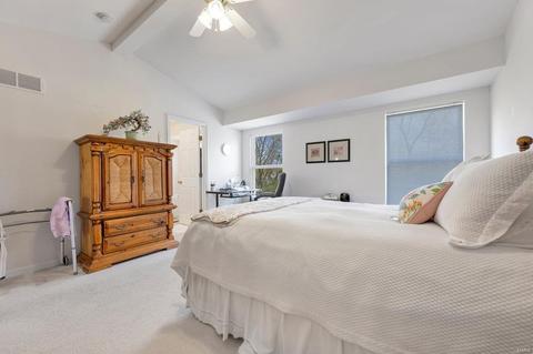 322 Ruth Ann Dr, O'fallon, MO 63368 photo 18