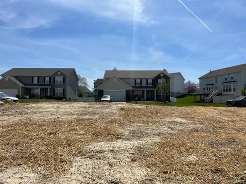 3 Millers Ct, O'fallon, MO 63366 photo 6