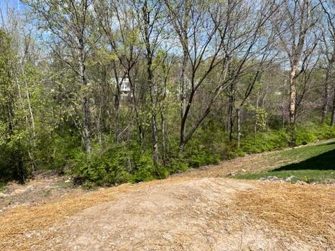 3 Millers Ct, O'fallon, MO 63366 photo 5