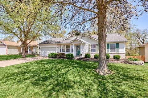 61 Jacqueline Cir, O'fallon, MO 63368 photo 3
