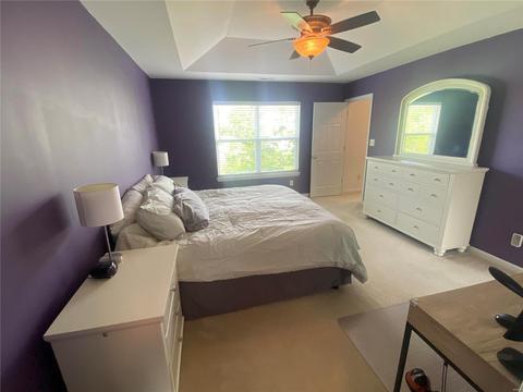 217 Spring Borough, O'fallon, MO 63368 photo 18