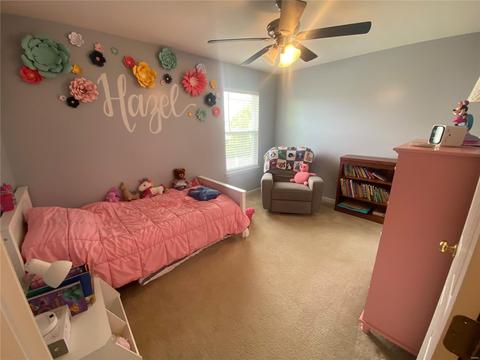 217 Spring Borough, O'fallon, MO 63368 photo 27