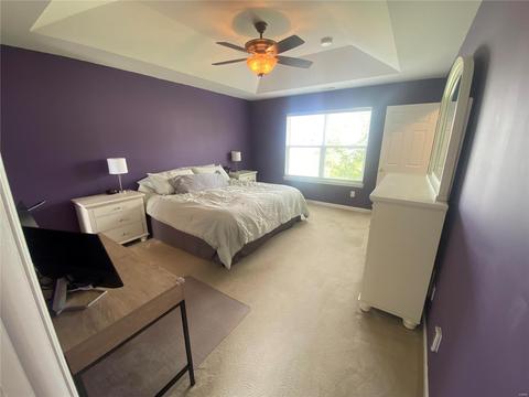 217 Spring Borough, O'fallon, MO 63368 photo 19