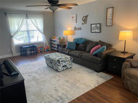 217 Spring Borough, O'fallon, MO 63368 photo 9