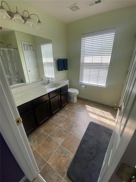 217 Spring Borough, O'fallon, MO 63368 photo 22