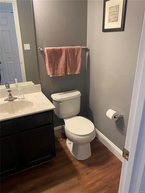 217 Spring Borough, O'fallon, MO 63368 photo 11
